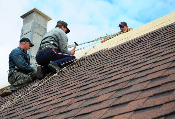 Best Metal Roofing Contractor  in Old River Winfree, TX